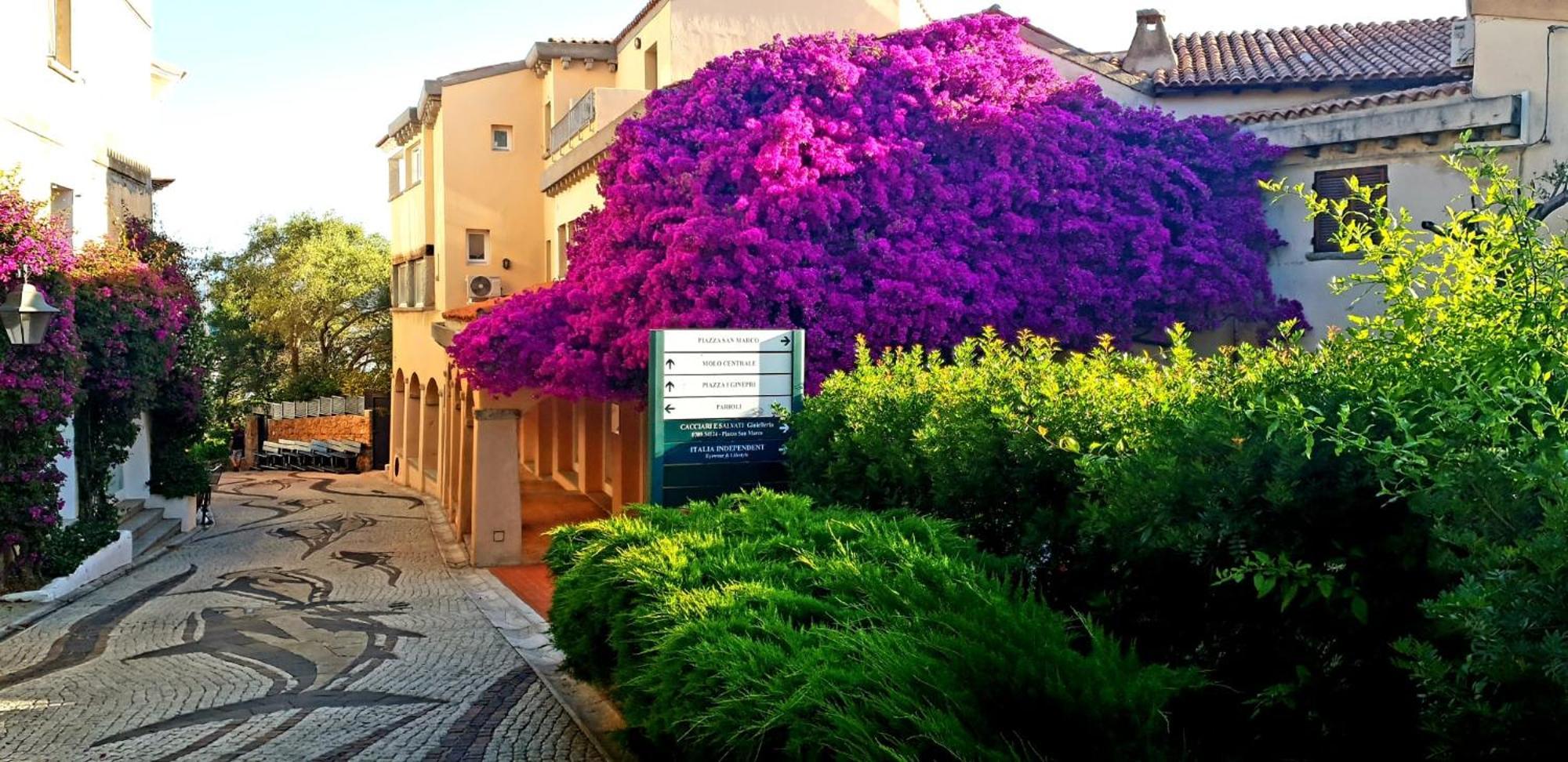 Residence Bouganville Porto Rotondo Exterior photo